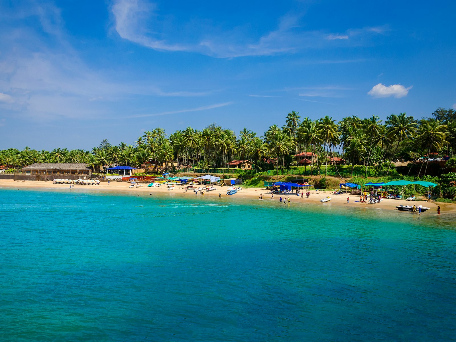 Goa coastline with palm trees and a refined beach setting for workation travel